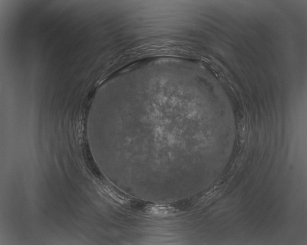 X0000084050372200702232358