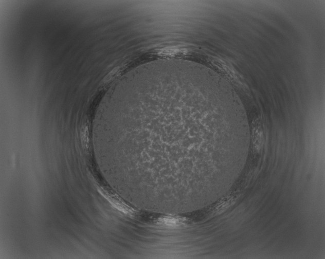 X0000084050375200702232358