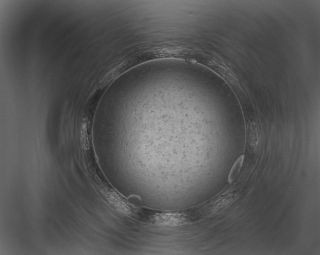 X0000084050378200702232358