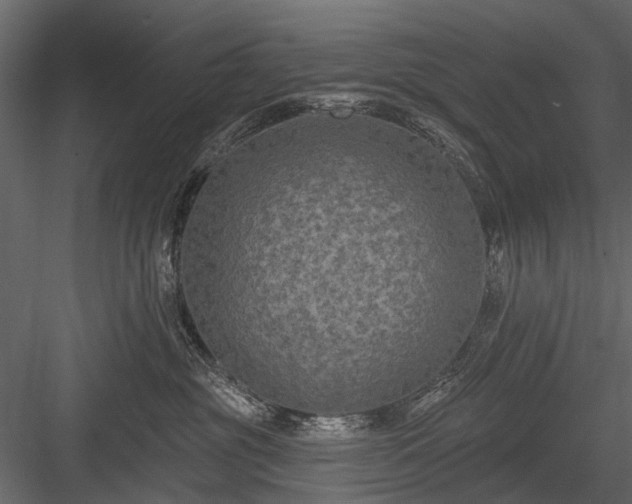 X0000084050381200702232358