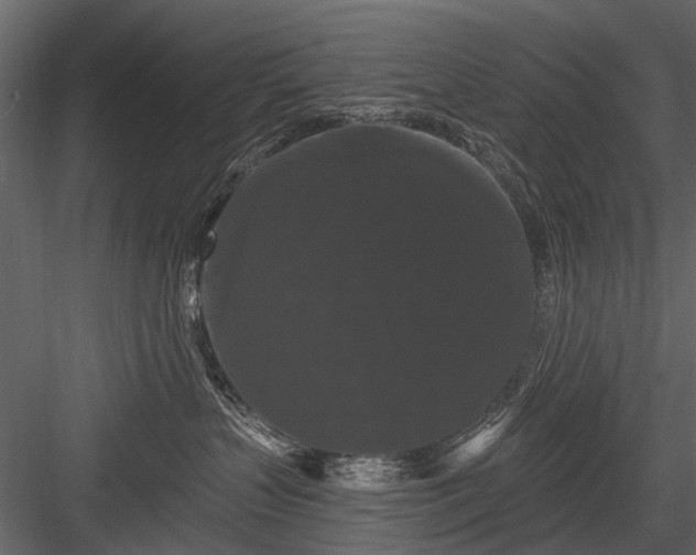 X0000084050383200702232358