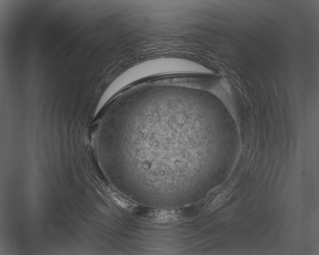 X0000084050384200702232358