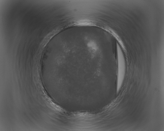 X0000084050385200702232357