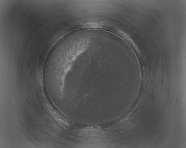 X0000084050386200702232357