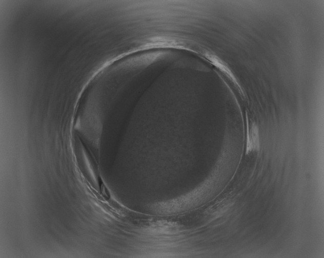 X0000084050387200702232357