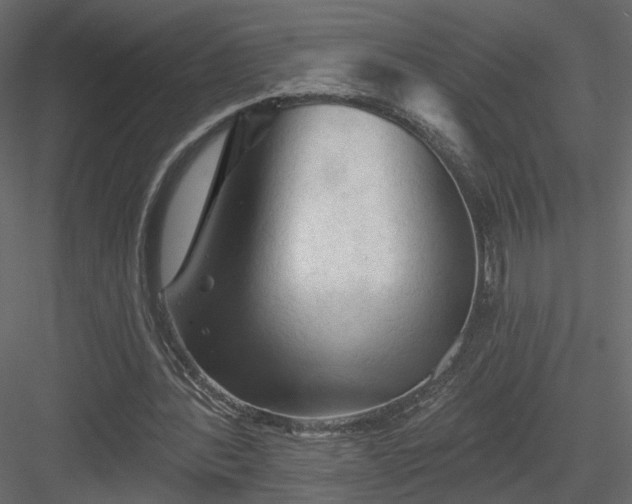 X0000084050388200702232357