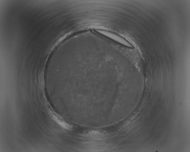 X0000084050390200702232357