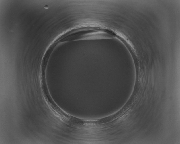 X0000084050391200702232357