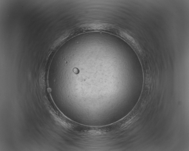 X0000084050394200702232357