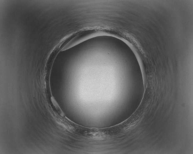 X0000084050395200702232357