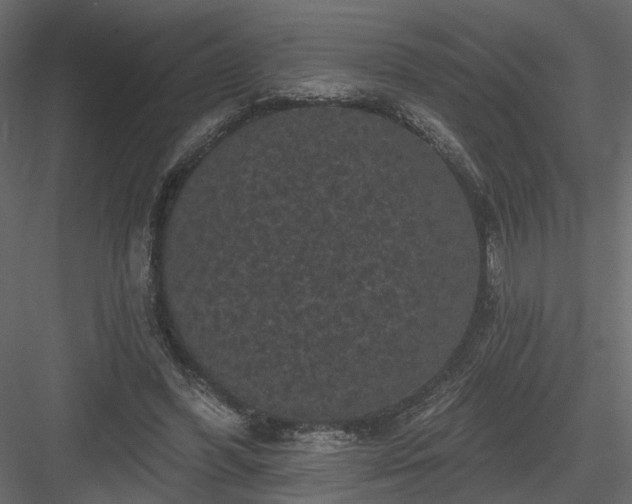 X0000084050396200702232357