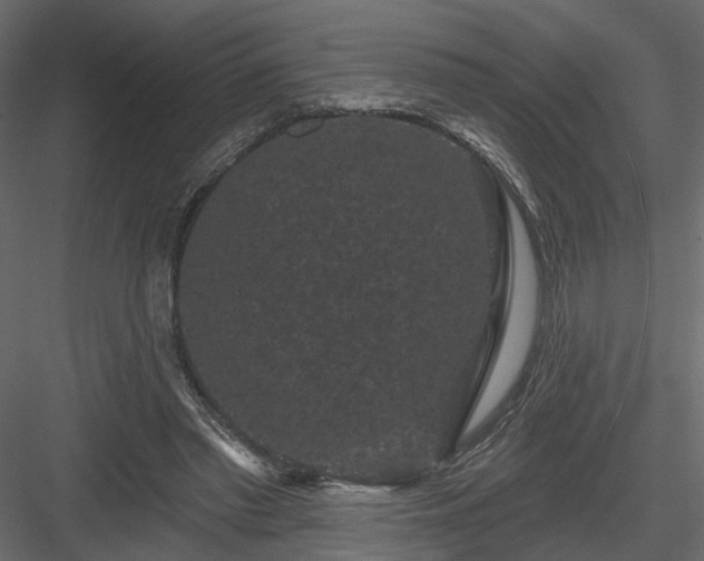 X0000084050397200702232357