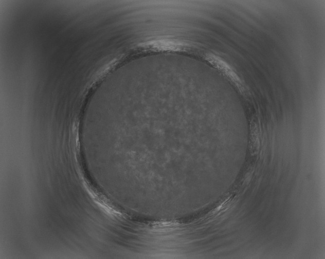 X0000084050398200702232357