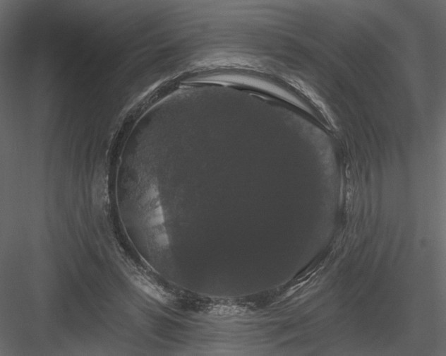 X0000084050399200702232357