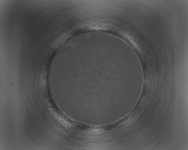 X0000084050402200702232357