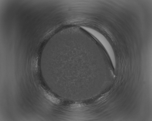 X0000084050404200702232357