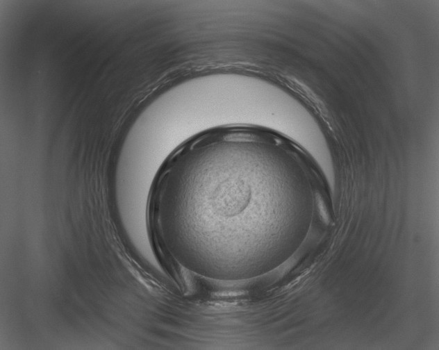 X0000084050405200702232357