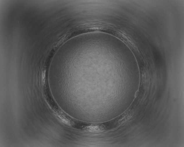 X0000084050406200702232357