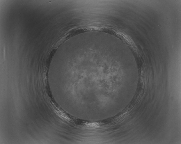 X0000084050409200702232357