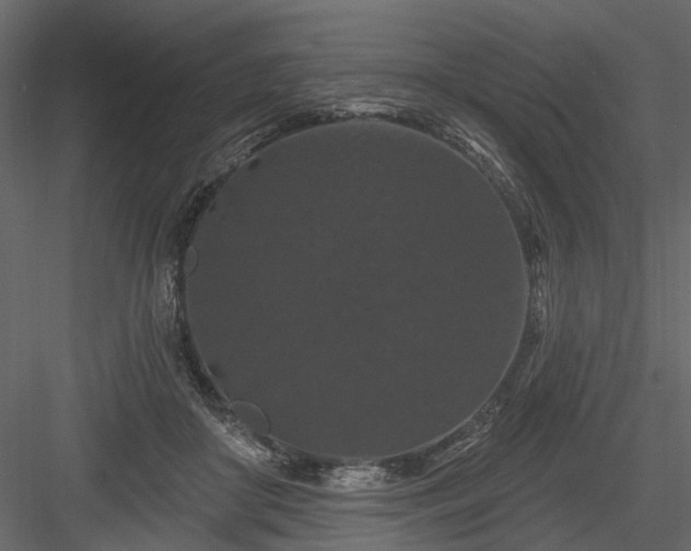 X0000084050410200702232357