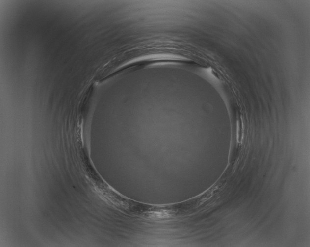 X0000084050411200702232356