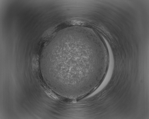 X0000084050413200702232356