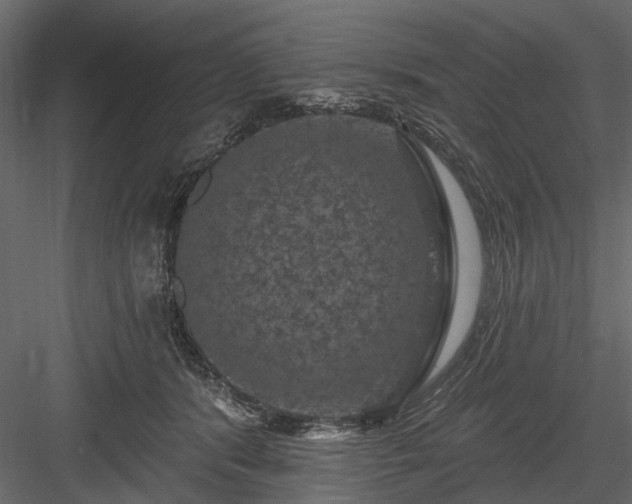 X0000084050416200702232356