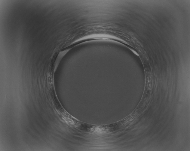 X0000084050419200702232356