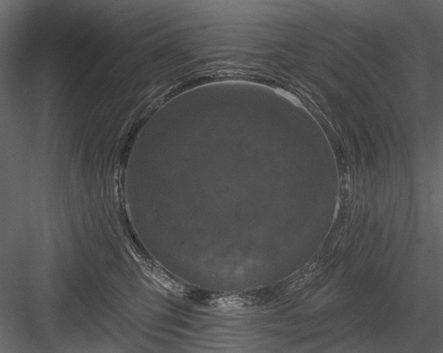 X0000084050423200702232356