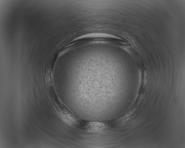 X0000084050429200702232356