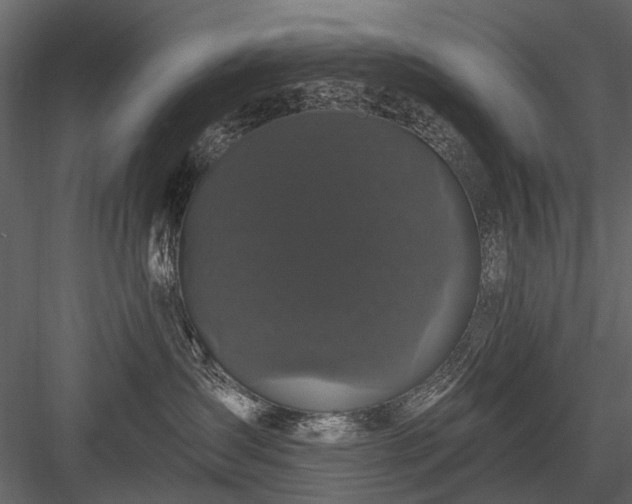 X0000084050431200702232356