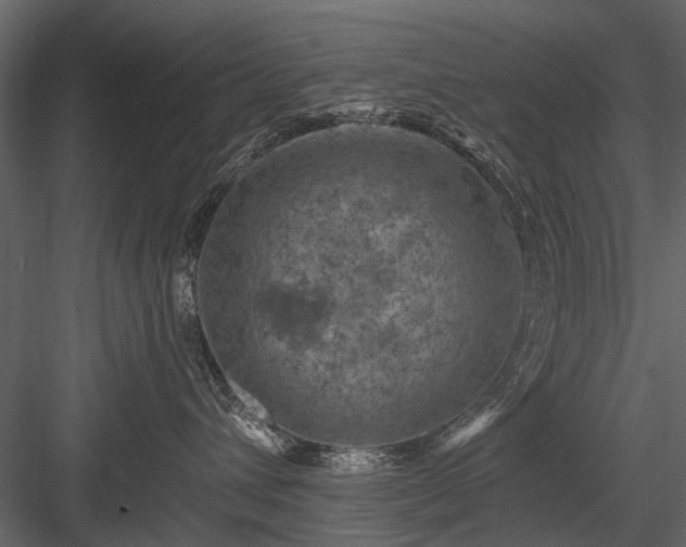 X0000084050432200702232356