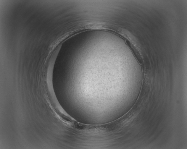 X0000084050433200702232355