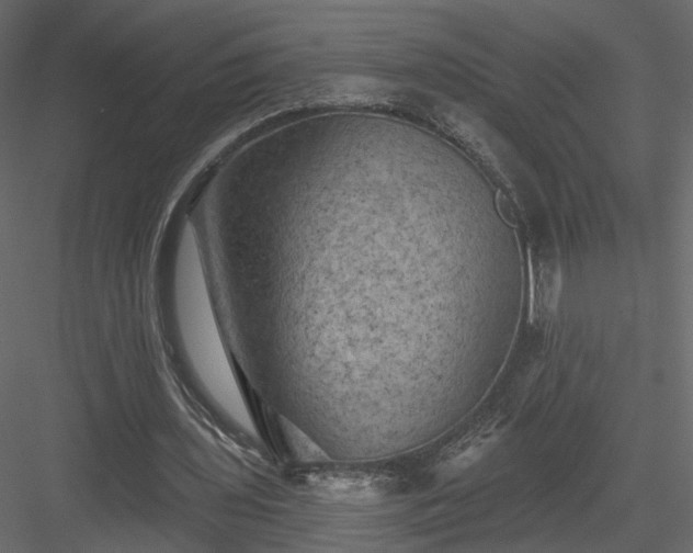 X0000084050435200702232355