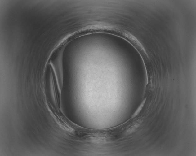 X0000084050436200702232355