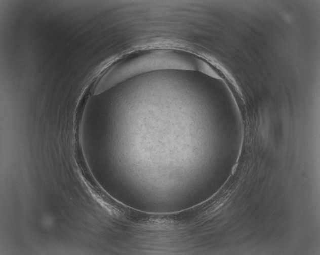 X0000084050437200702232355