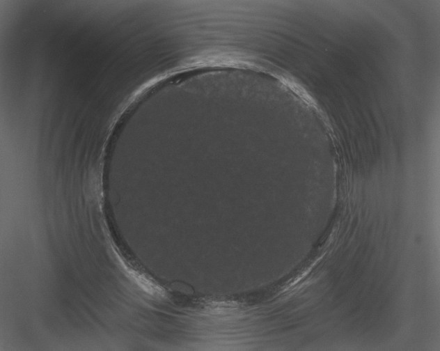 X0000084050438200702232355