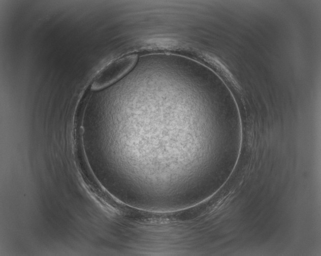 X0000084050439200702232355