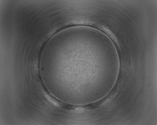 X0000084050441200702232355