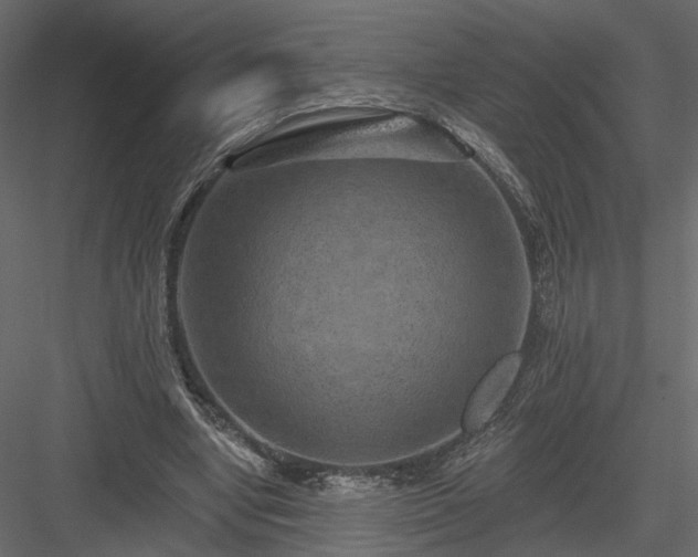 X0000084050442200702232355