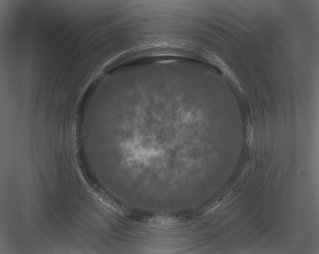 X0000084050444200702232355