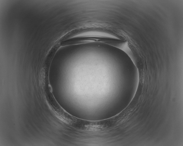 X0000084050448200702232356