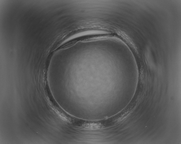 X0000084050449200702232356