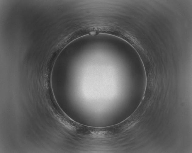 X0000084050450200702232356