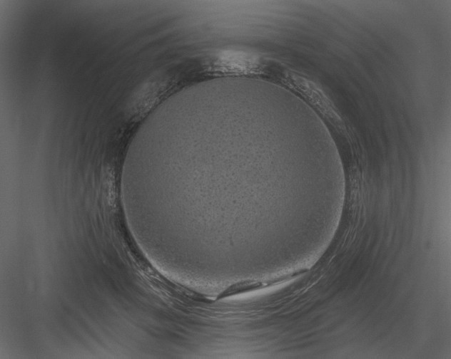 X0000084050457200702232356