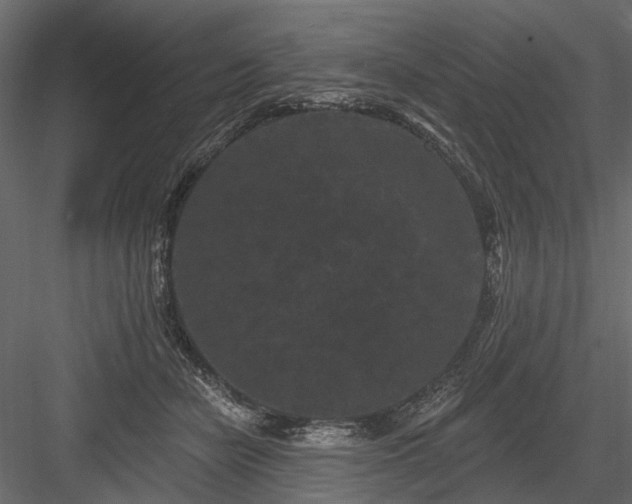 X0000084050462200702232356