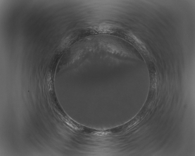 X0000084050465200702232356