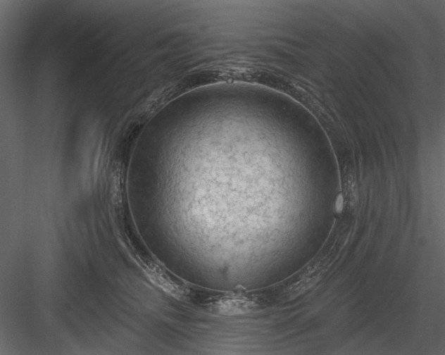 X0000084050468200702232356