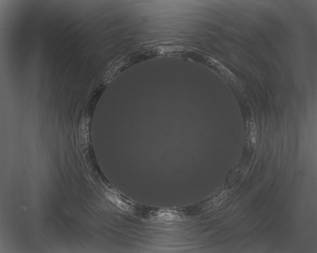 X0000084050475200702232356