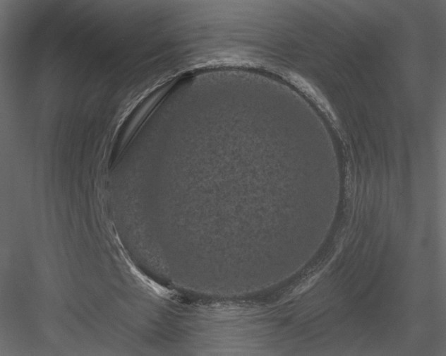 X0000084050481200702232355